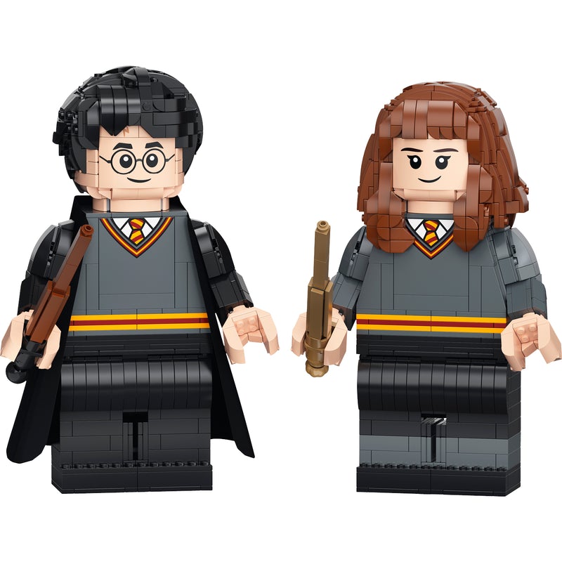 LEGO Harry Potter & Hermione Granger 76393